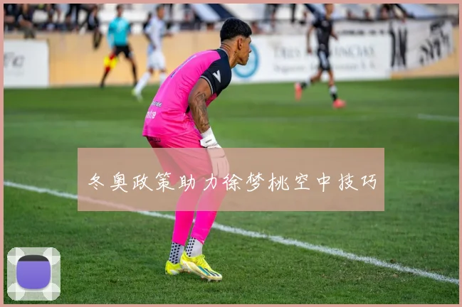 冬奥政策助力徐梦桃空中技巧