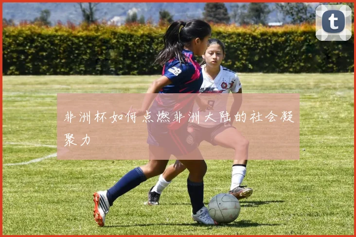 非洲杯如何点燃非洲大陆的社会凝聚力