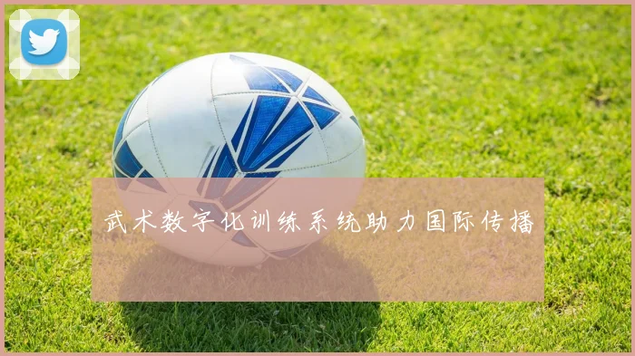 武术数字化训练系统助力国际传播