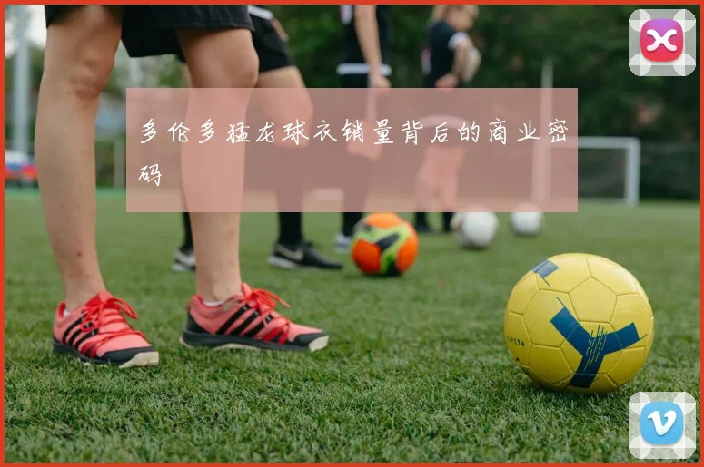 多伦多猛龙球衣销量背后的商业密码