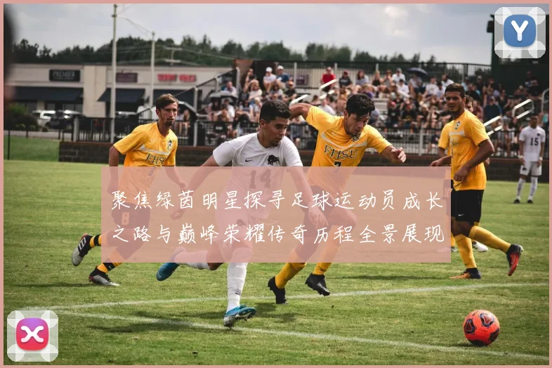 聚焦绿茵明星探寻足球运动员成长之路与巅峰荣耀传奇历程全景展现