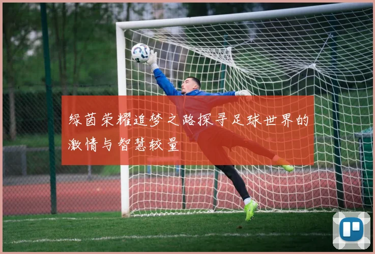 绿茵荣耀追梦之路探寻足球世界的激情与智慧较量
