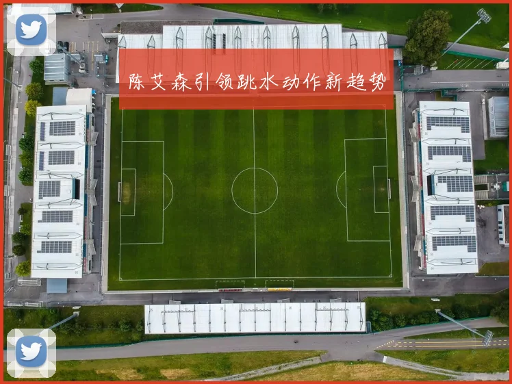 陈艾森引领跳水动作新趋势